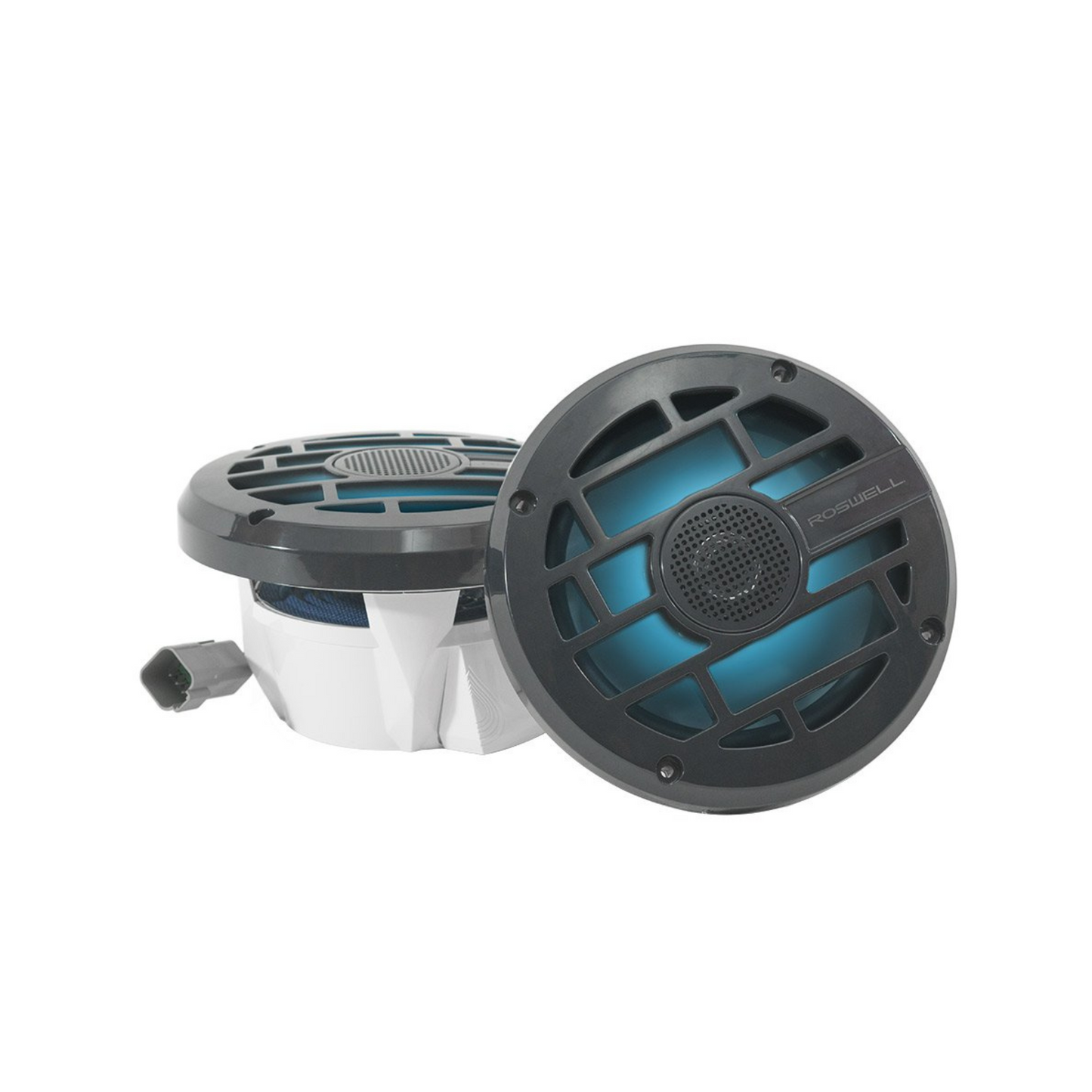 Roswell R Series 6.5” Speakers
