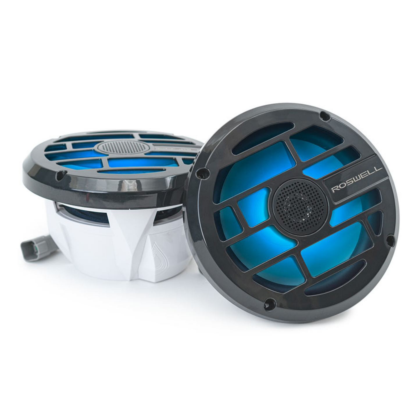 Roswell R Series 7.7" Speakers