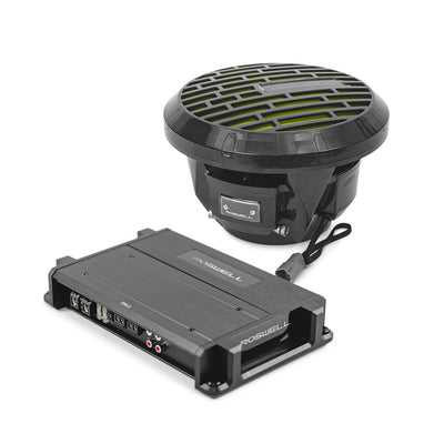 R1 10" Subwoofer Package
