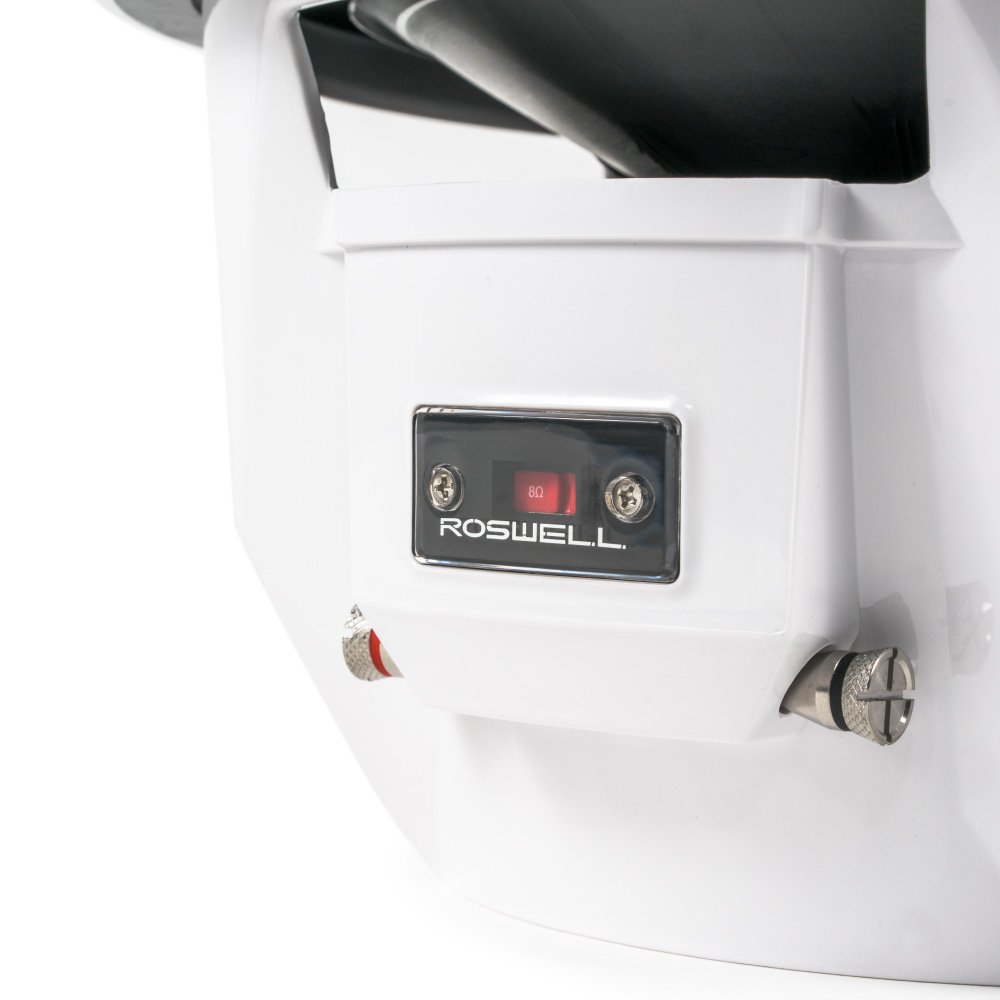 Roswell Marine Audio RMA 12 inch subwoofer
