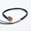 6 Pin Boat Side Speaker Harness