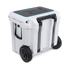 Roswell Roto Cooler