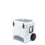 Roswell Roto Cooler